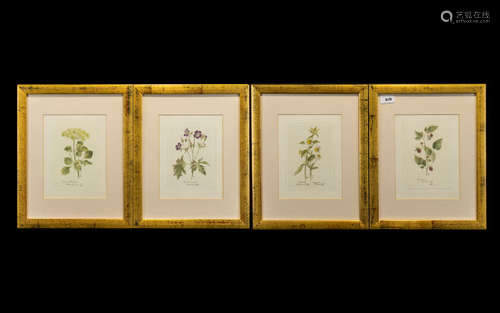 Collection of Four Framed Prints of Raspberry, Chamomile, Geranium & Alexanders. All mounted and