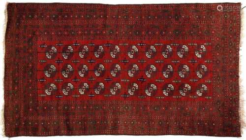Tapis boukhara en laine noué main sur fond à domin…