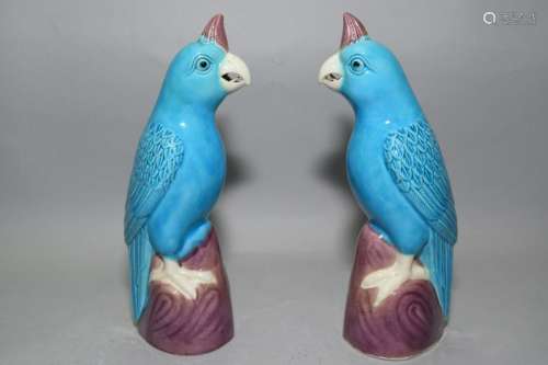 Pair of Chinese Peacock Blue Glaze Parrots