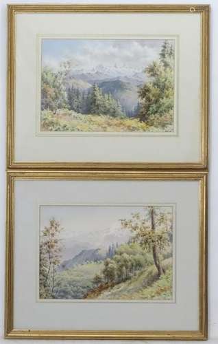 A. H., c.1960, Indian School, Watercolour, a pair, 'Nr.