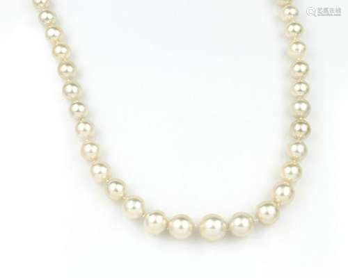 South seas cultured pearl chain