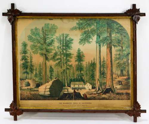 Times Steam Job Mammoth Trees of California Print