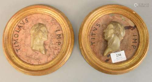 Pair of rouge marble plaques mounted with marble busts