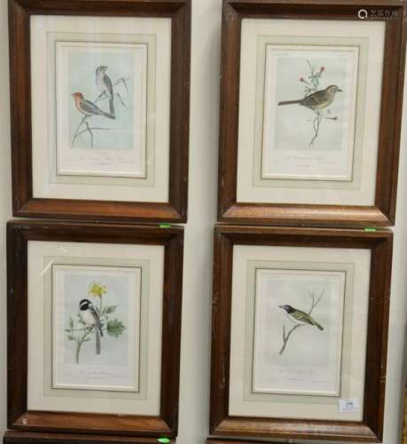 Nine Cassin's Illustrated bird prints to include 