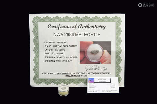 A NWA 2986 Martian Meteorite (Shergottite) with Certificate