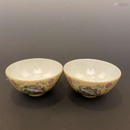 Pair of Chinese Famille Rose 'Butterflies' Bowl