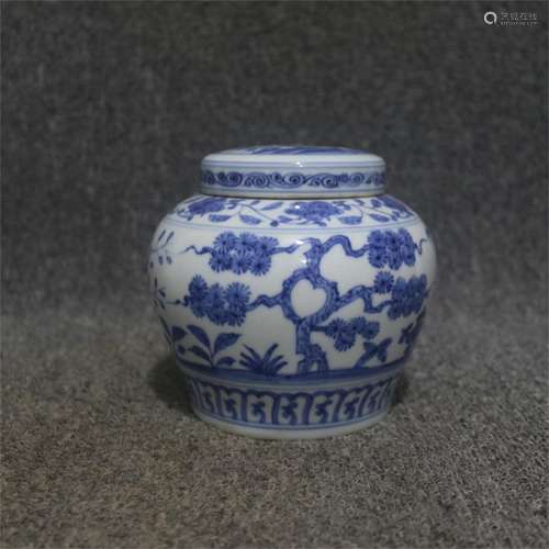 A Chinese Blue and White Porcelain Jar