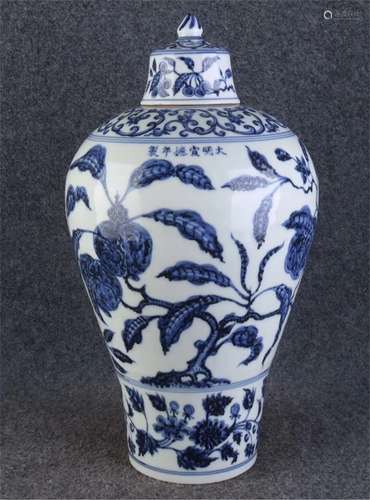 A Chinese Blue and White Porcelain Vase with Cover