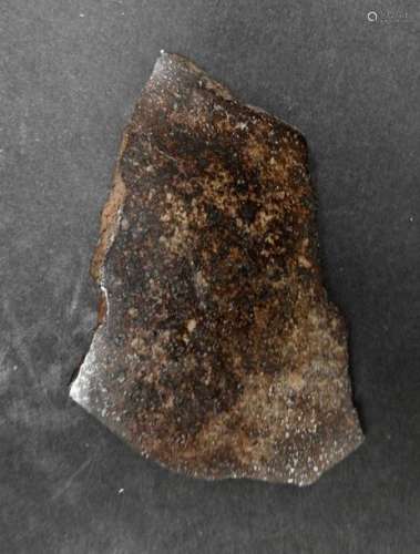 Tranche de météorite chondrit(e très riche en chon…
