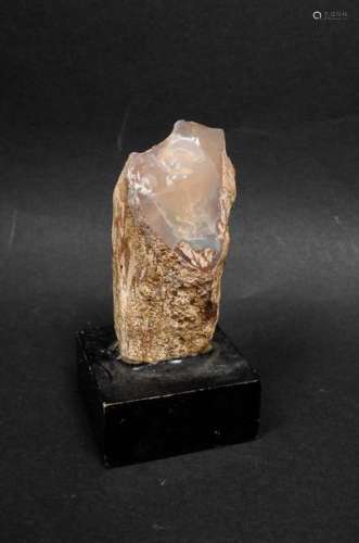 Rare branche de bois fossile transformée en opale …