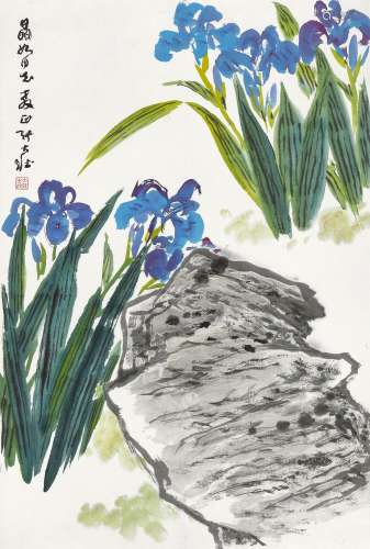 张大壮（1903～1980） 紫鸢 镜心 设色纸本