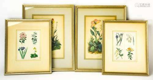 4 Antique Framed Floral Lithographs