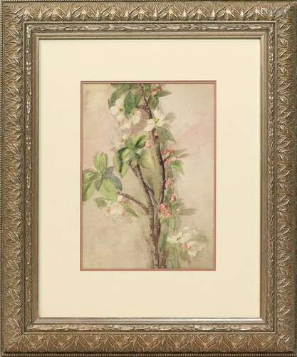 Watercolor, Lillie May Nicholson