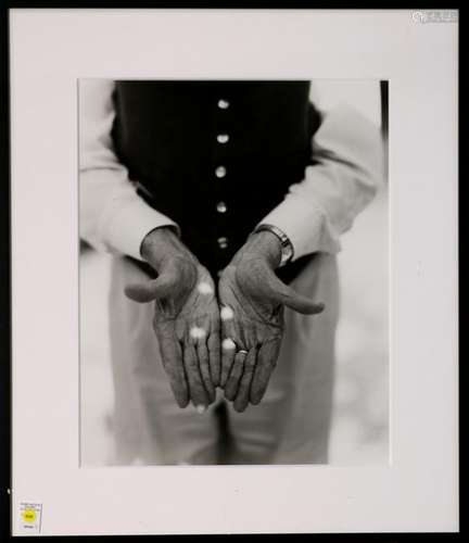 Photograph, Barbara Bosworth