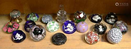 One shelf of art glass paperweights by various makers