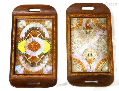 Pair of inlaid wood trays, centered with butterfly wing