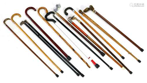 (lot of 14) Group of canes