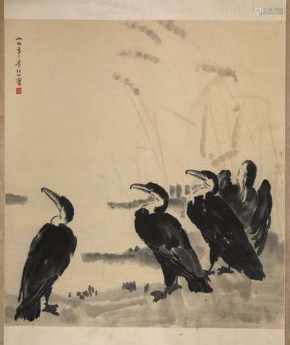 Cormorants