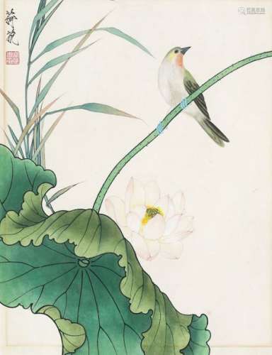 Nightingale and lotus