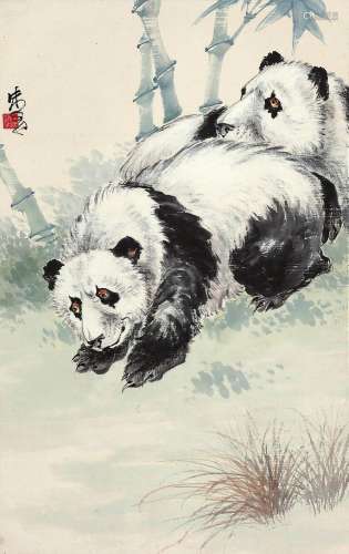 朱文候 熊猫