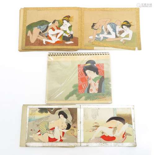 A Diverse Collection of Asian Erotic Paintings