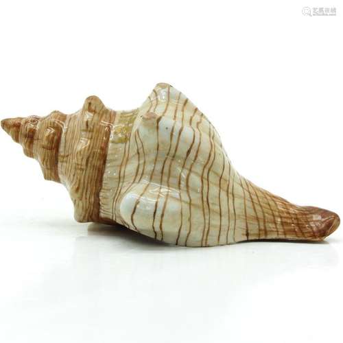 A Chinese Conch Shell