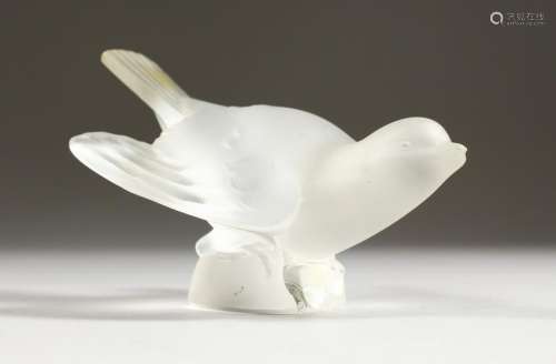 A LALIQUE FROSTED GLASS MODEL OF A BIRD, wings