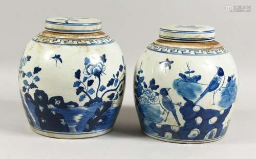 A PAIR OF BLUE AND WHITE GINGER JARS.  10ins high.