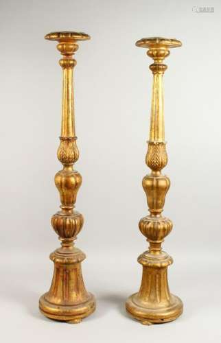 A MATCHED PAIR OF 20TH CENTURY CARVED GILTWOOD LAMP