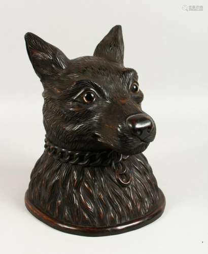A LARGE BLACK FOREST CARVED FOXES HEAD.  12ins high.