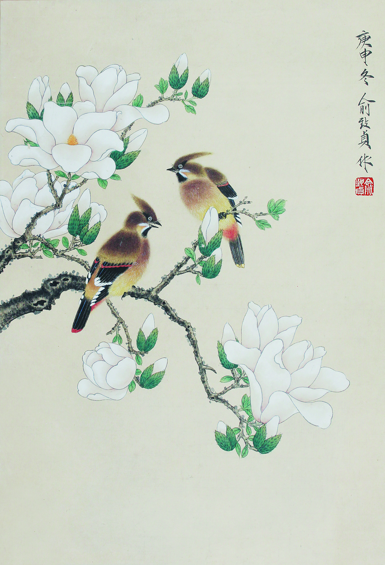 中国国树 国鸟 国花图片