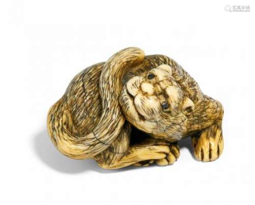 NETSUKE: RECLINING TIGER. Japan. 19th c. Ivory, eyes inlaid with dark horn. With [...]