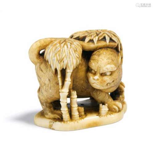 NETSUKE: TIGER IN BAMBOO GROVE. Japan. 19th c. Ivory, finely carved and engraved. [...]