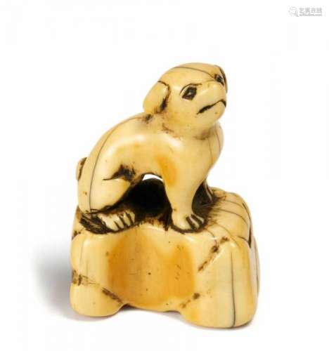 NETSUKE: SITTING DOG ON A ROCK. Japan. 18th c. Ivory with a beautiful golden patina. [...]