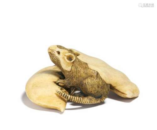 NETSUKE: SPOTTED RAT ON TWO EDAMAME. Japan. 19th c. Maritime ivory, one eye inlaid [...]