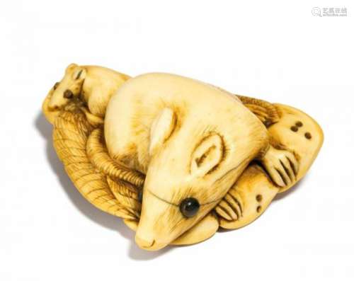 NETSUKE: RAT WITH YOUNG ON SHINOBU FERN. Japan. 18th/19th c. Ivory, eyes inlaid with [...]