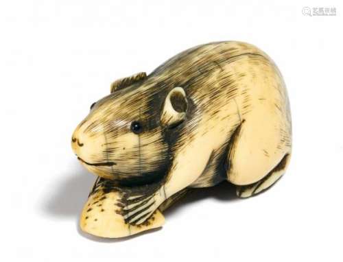 NETSUKE: RAT WITH NUT HALF. Japan. 19th c. Ivory with finely engraved fur. Eyes [...]