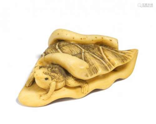 NETSUKE: FROSH ON A FOLDED LOTUS LEAF. Japan. 19th c. Ivory, eyes inlaid with dark [...]