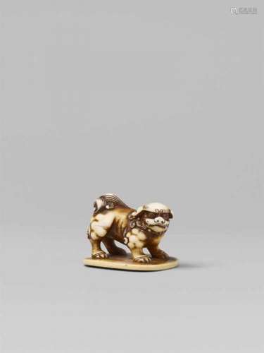 A fine ivory netsuke of a shishi. Second half 19th centuryStanding on a flat base, [...]