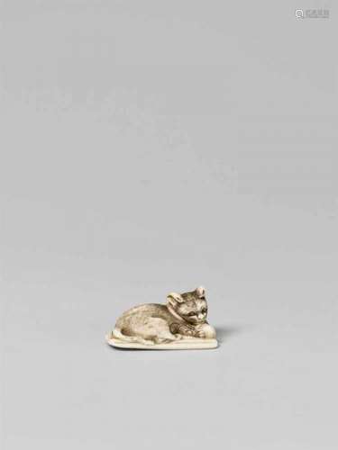 A fine ivory netsuke of a cat on a fan. 19th centuryLying on a partly opened folding [...]