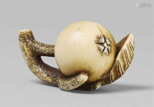 An ivory netsuke of a biwa. Second half 19th centuryThe bulging fruit lying on a [...]