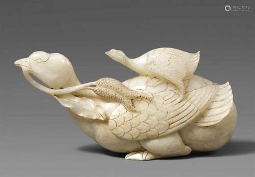 A whitish jade duck with ducklingSitting with neck strechted out, a reed in its beak, [...]