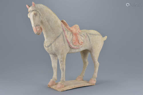 Tang Dynasty Pottery Painted Standing Horse, 41cms high