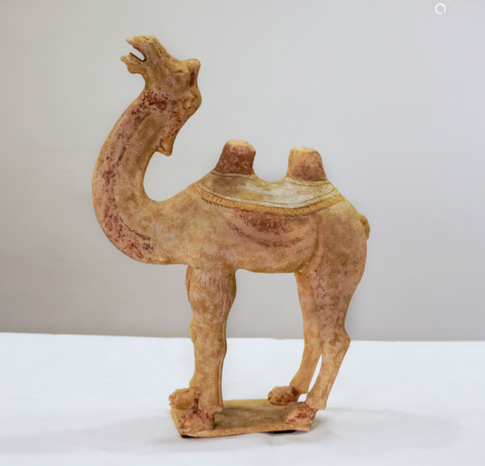 CAMEL - TANG DYNASTY - CHINA - 7th - 10th CENTURY－【Deal ...