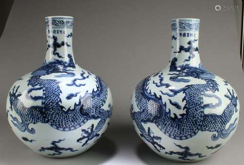 A Pair of Chinese Blue & White Porcelain Vases