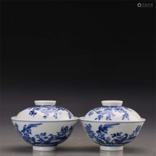 A Pair of Chinese Blue and White Porcelain Tea Bowls wit Covers