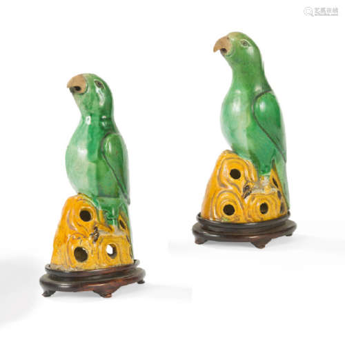 Pair of parrots in polychrome enamelled biscuit gr…