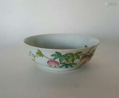 Chinese Famille Rose Porcelain Bowl