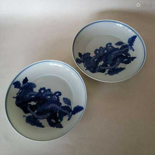 Pair Chinese Blue And White Porcelain Plate