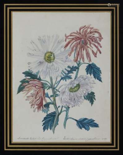 Ecole romantique XIXe s - Fleurs, deux gouaches et aquarelles sur papier, 28x21 cm -